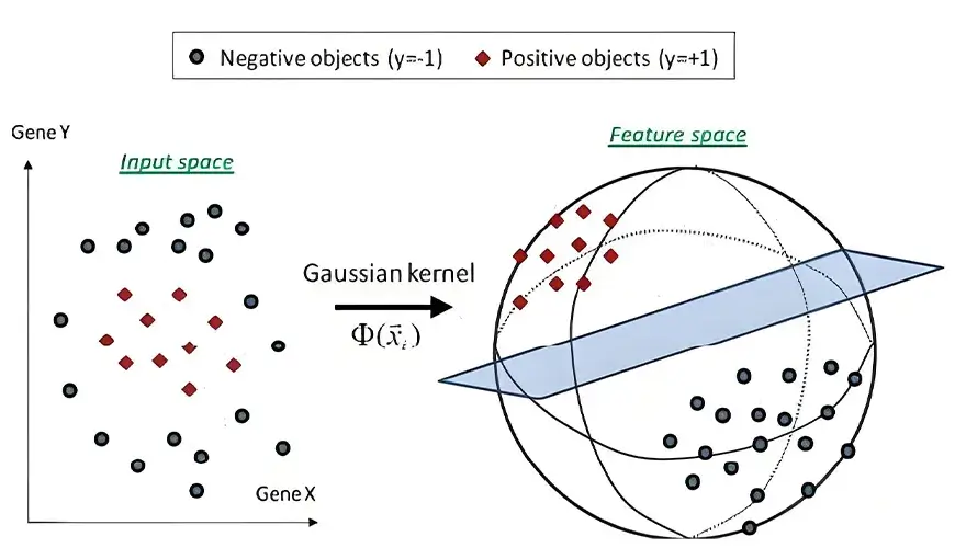 Neural Network Method